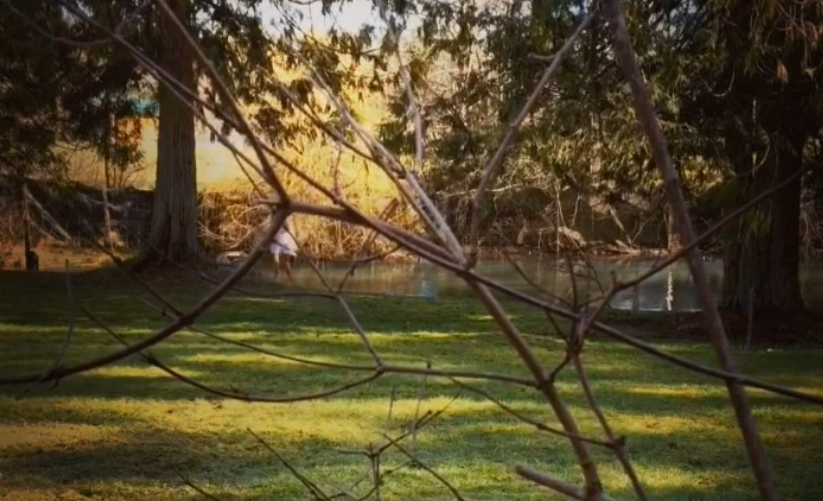 Monkey See Monkey Do